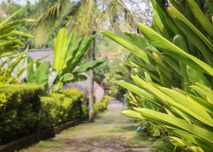 Balian Surf Villas * Selemadeg (Bali)