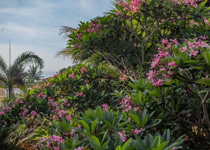 Balian Surf Villas Hotel